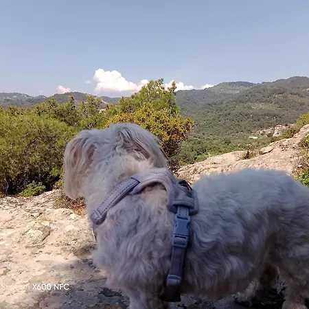 Дом отдыха Merve's Stone House Nusratli