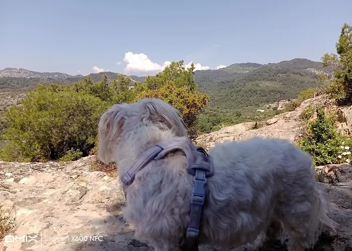 Holiday home Merve's Stone House Nusratli